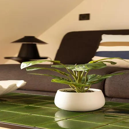 Vakantiehuis Charming A C - 2p- Montorgueil *