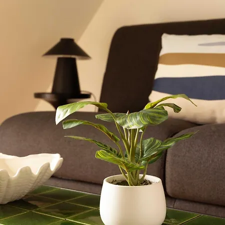 Charming A C - 2p- Montorgueil